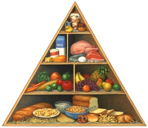 The Obesity Pyramid